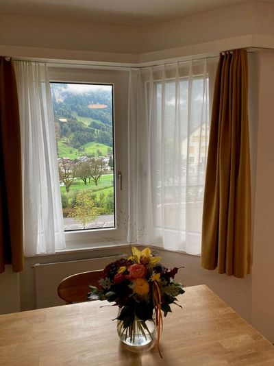 Homepage__Ausblick_Zimmer.jpg