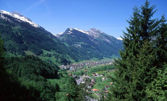 Sommerbild von Muotathal