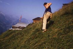bild mit Bauer am Heuen