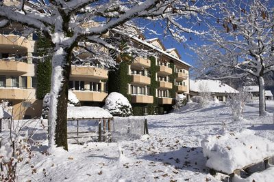 Homepage_Winter_3.jpg
