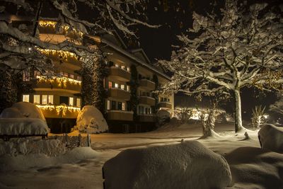 Homepage__Winter.jpg
