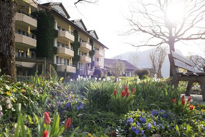 Homepage__Frühling.jpg