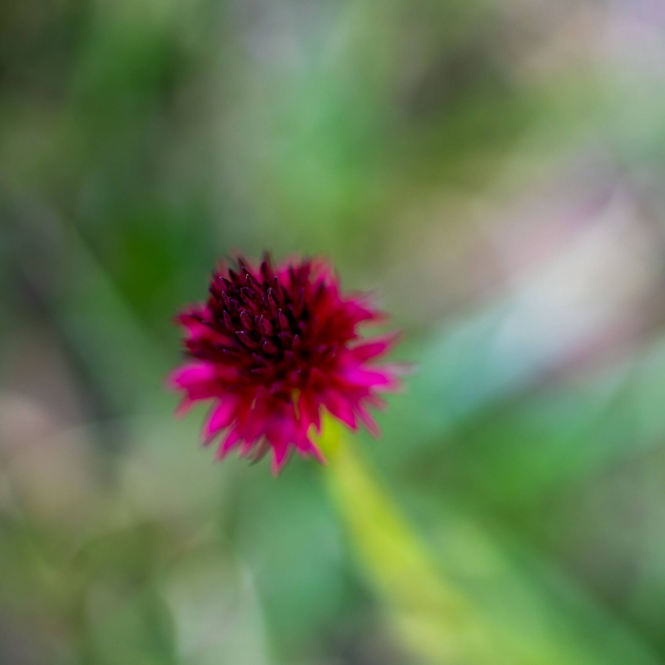 20220624-DSC07390.jpg